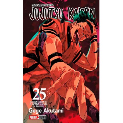 Jujutsu Kaisen 25